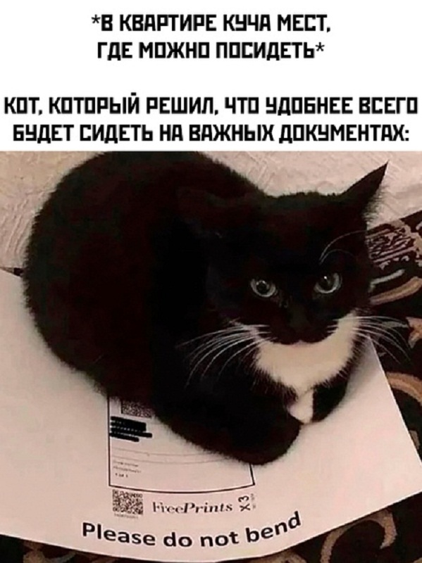 Немного картинок для настроения - 177