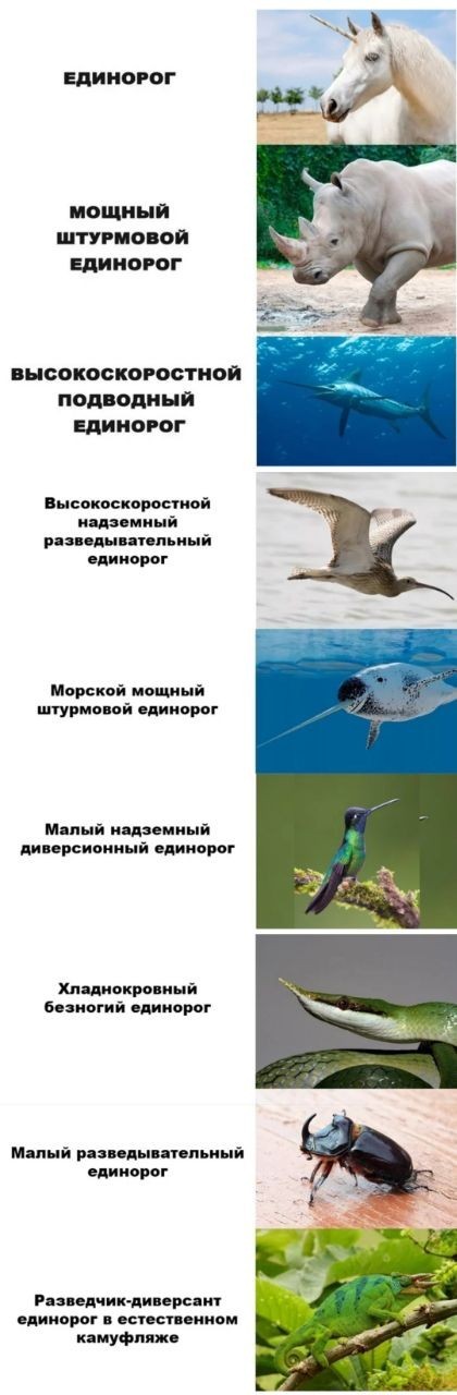 Забавные комментарии из социальных сетей (15.05.23)