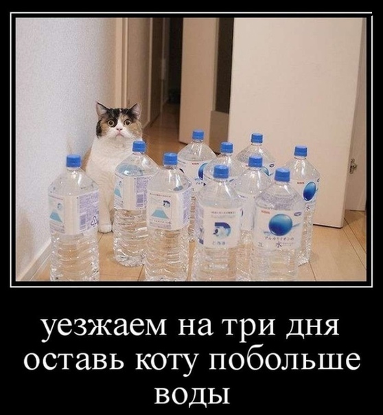 Демократия в опасности!