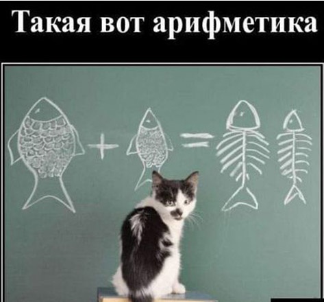 Так себе картинки 14.09.23