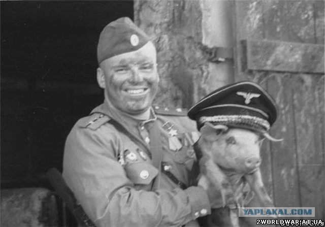 Нацистская сходка в Атланте (США)