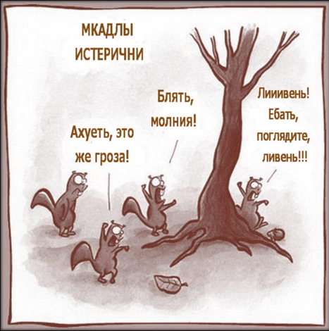 Ураган накрыл север и запад Московской области. Дошло и до Москвы