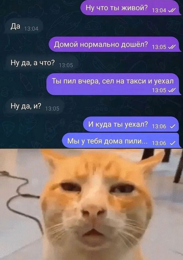 Всего понемногу. От 26.08.24