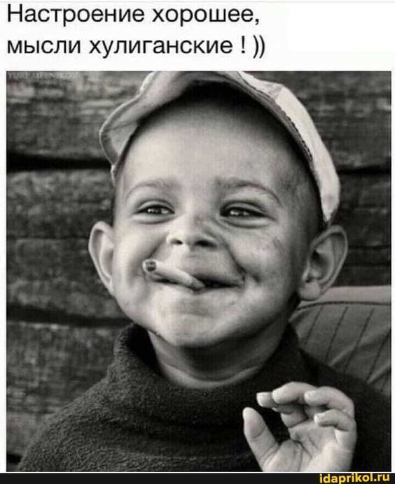 Прикольные и просто красивые картинки
