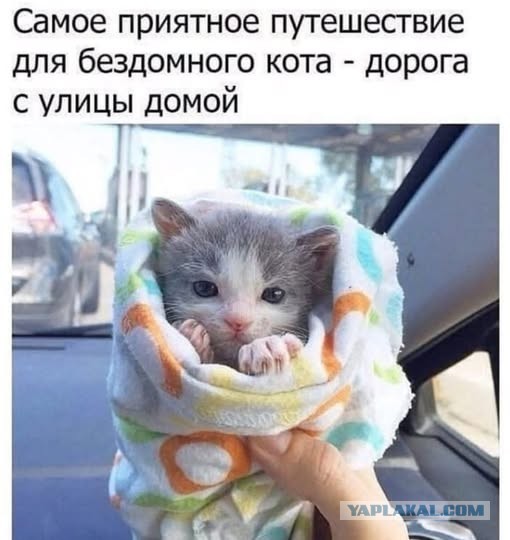 Веселые картинки в понедельник (23.12)