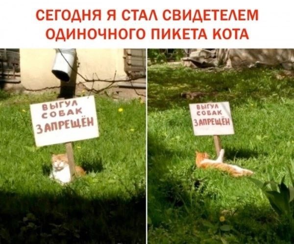 Картинки о том, о сём...