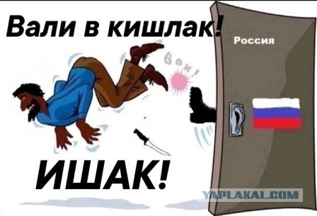 Отлясывают и стреляют в воздух около православного храма в Вологде.