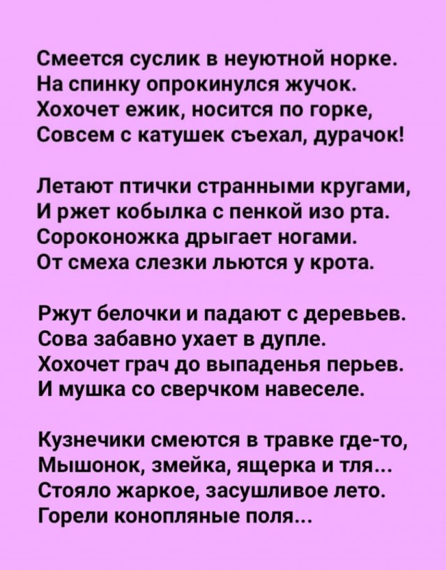 Так себе картинки 05.08.25