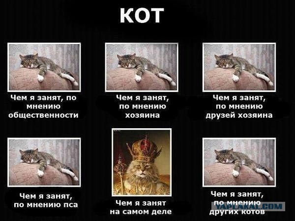 А ты живи с этим