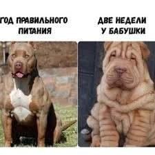 Маленькая пятница 17.12