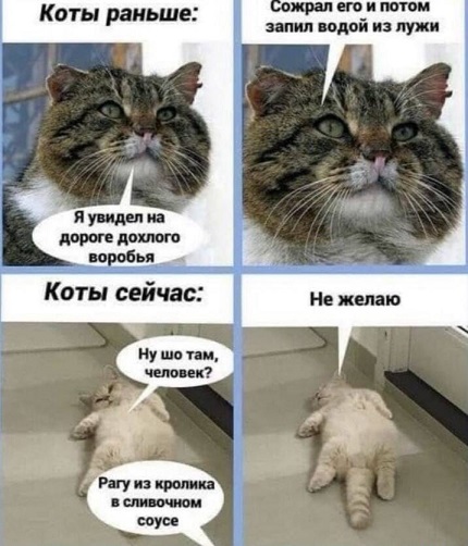 Розы гибнут на газонах...