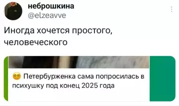 Так себе картинки 29.12.25