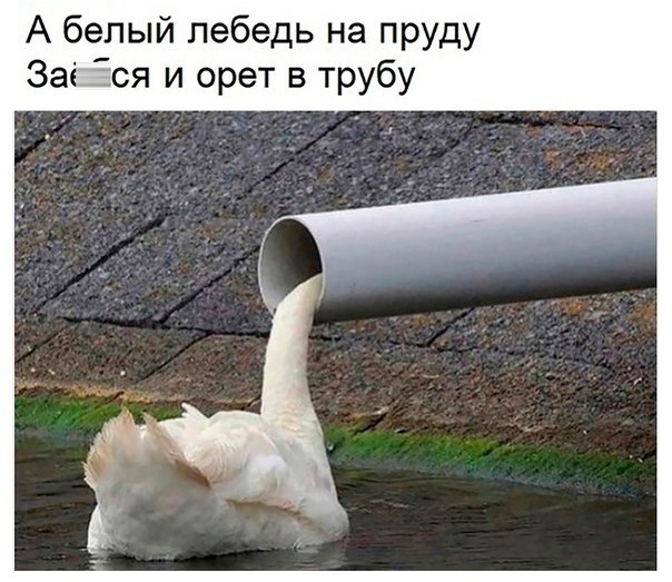 Сегодня будет бред