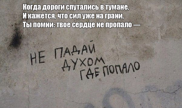 Картинки для деградации 147 (разной степени свежести)