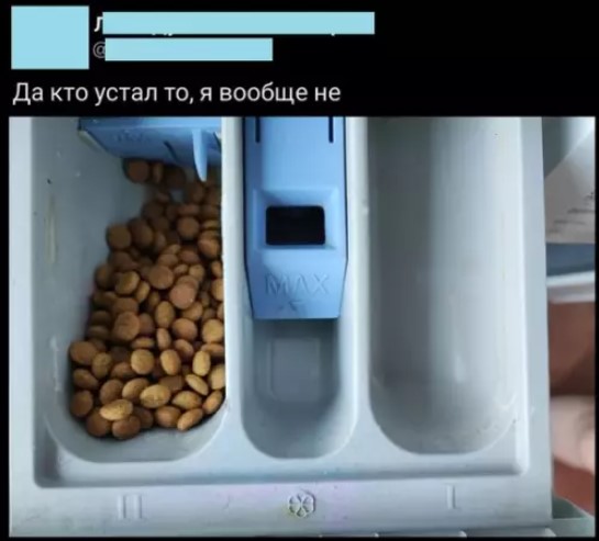 Картиночки, баянчики 15 марта