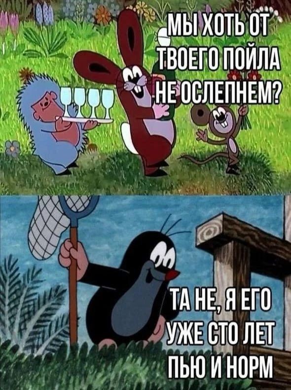 Картинки для деградации 261 (разной степени свежести)