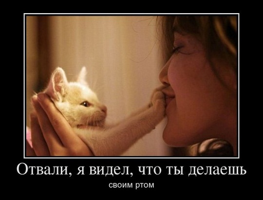 Идеальная женщина должна быть такой?