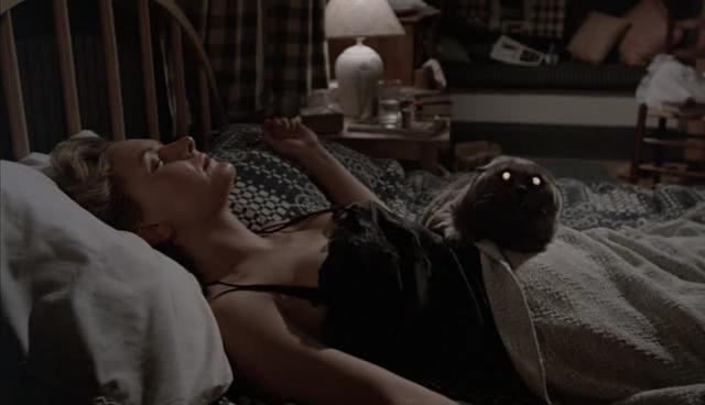 Мой пластилиновый мультфильм