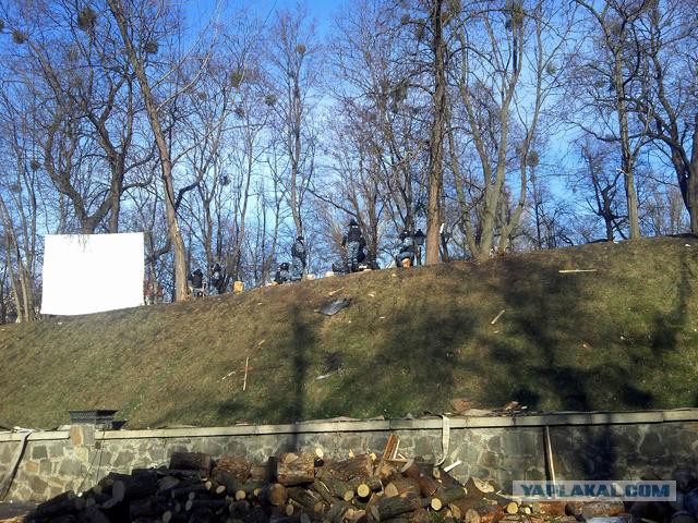 "Георгиевские " ленточки против флагов УПА