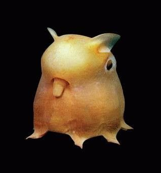 Марианская впадина