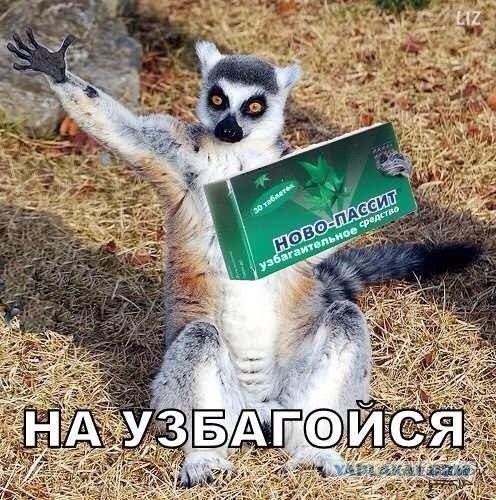Украинская армия штурмует аэродром в Краматорске!
