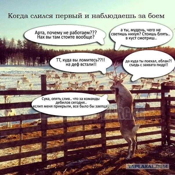 Wargaming 12, WoT сотоварищи