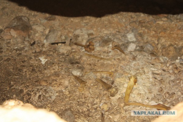 Дорога из Киева и из Москвы в Ялту.