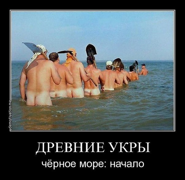 Вооруженные силы ДНР намерены в короткие сроки