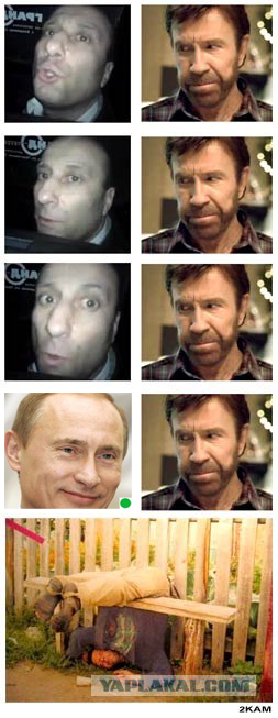 Полностью