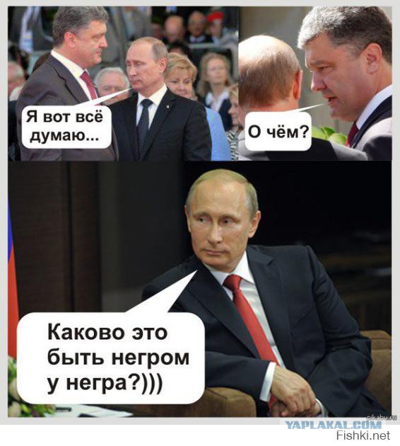 Печеньки в Киеве