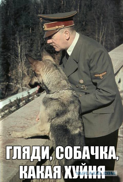 6 декабря "Удар по агрессору!"