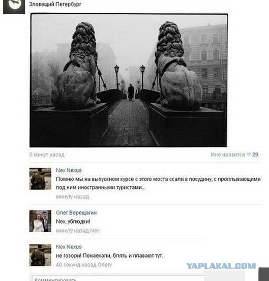 Смешные комментарии из социальных сетей