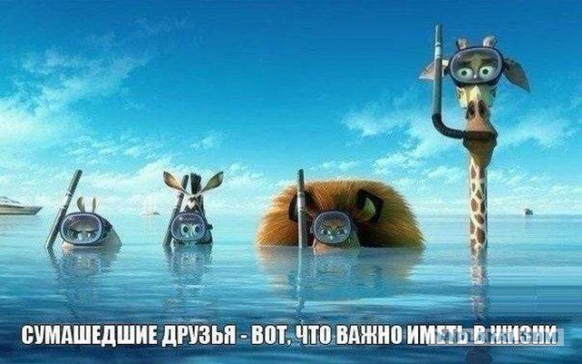 Смешные и не очень картинки из ВК