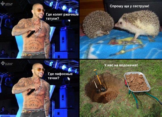 Где лучше?