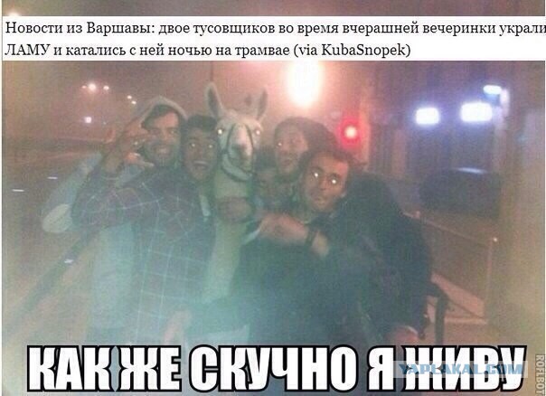 Смешные комментарии из социальных сетей