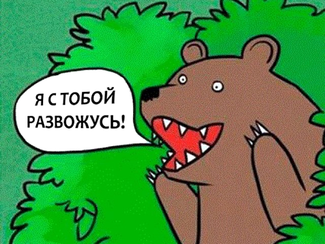 Исламский дом терпимости — как это работает
