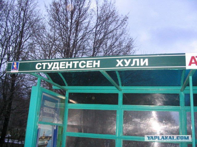 Информационные знаки на дорогах Ямала
