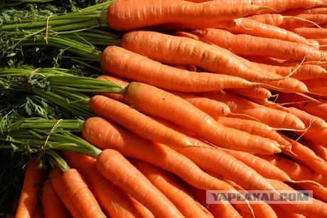 Когда вы минусуете уже заминусованного