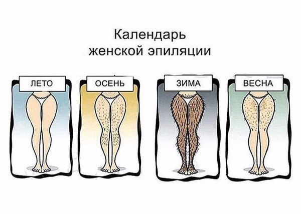 Веселые картинки