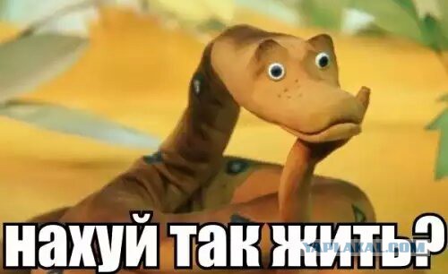 Две дуры-вандалки на кладбище