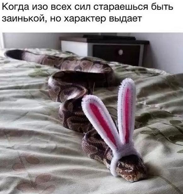 Мне 30, а замуж не берут