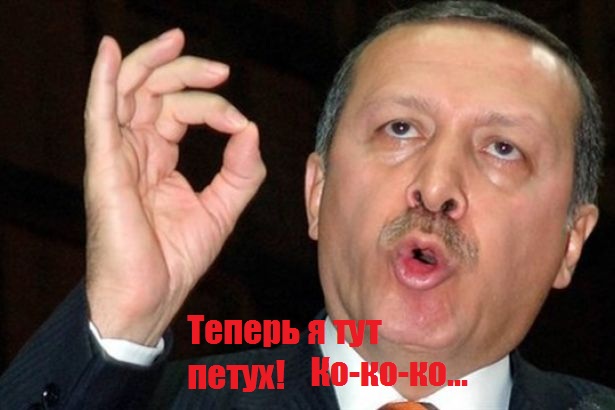 Эрдоган. Такой Эрдоган