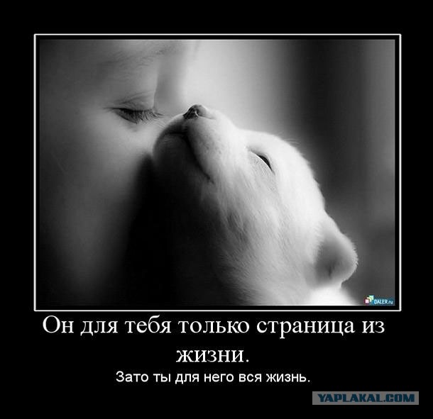 Картинки на пятницу