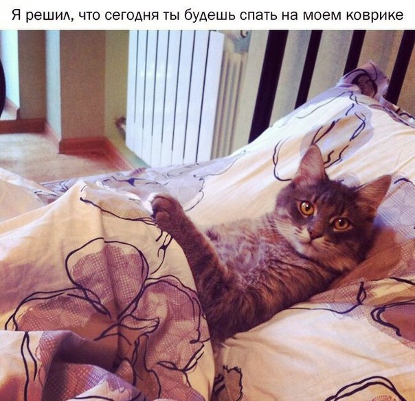 Разные картинки