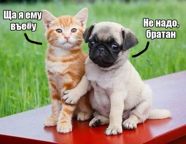Картинки разные 2