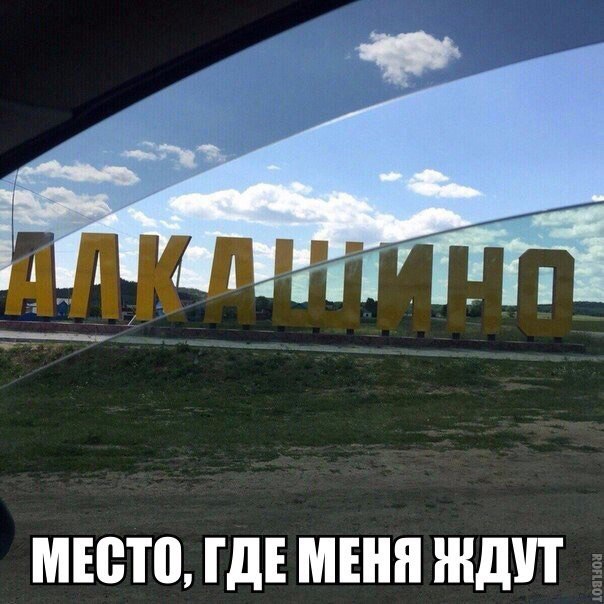 Пучок смешных картинок