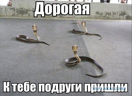 Женская дружба