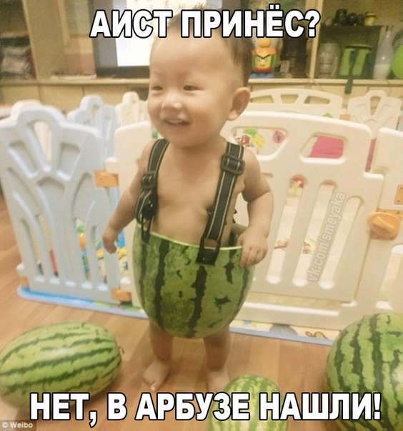 Подборка картинок 17.02.16