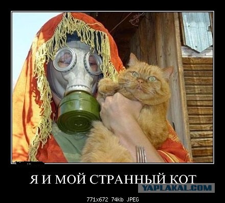 Демотиваторы на пятницу!