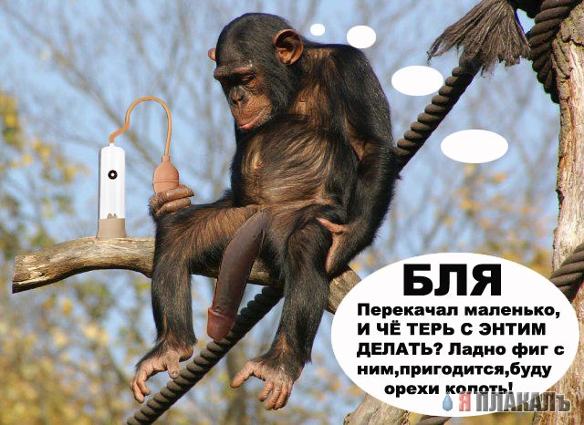Грустный самец